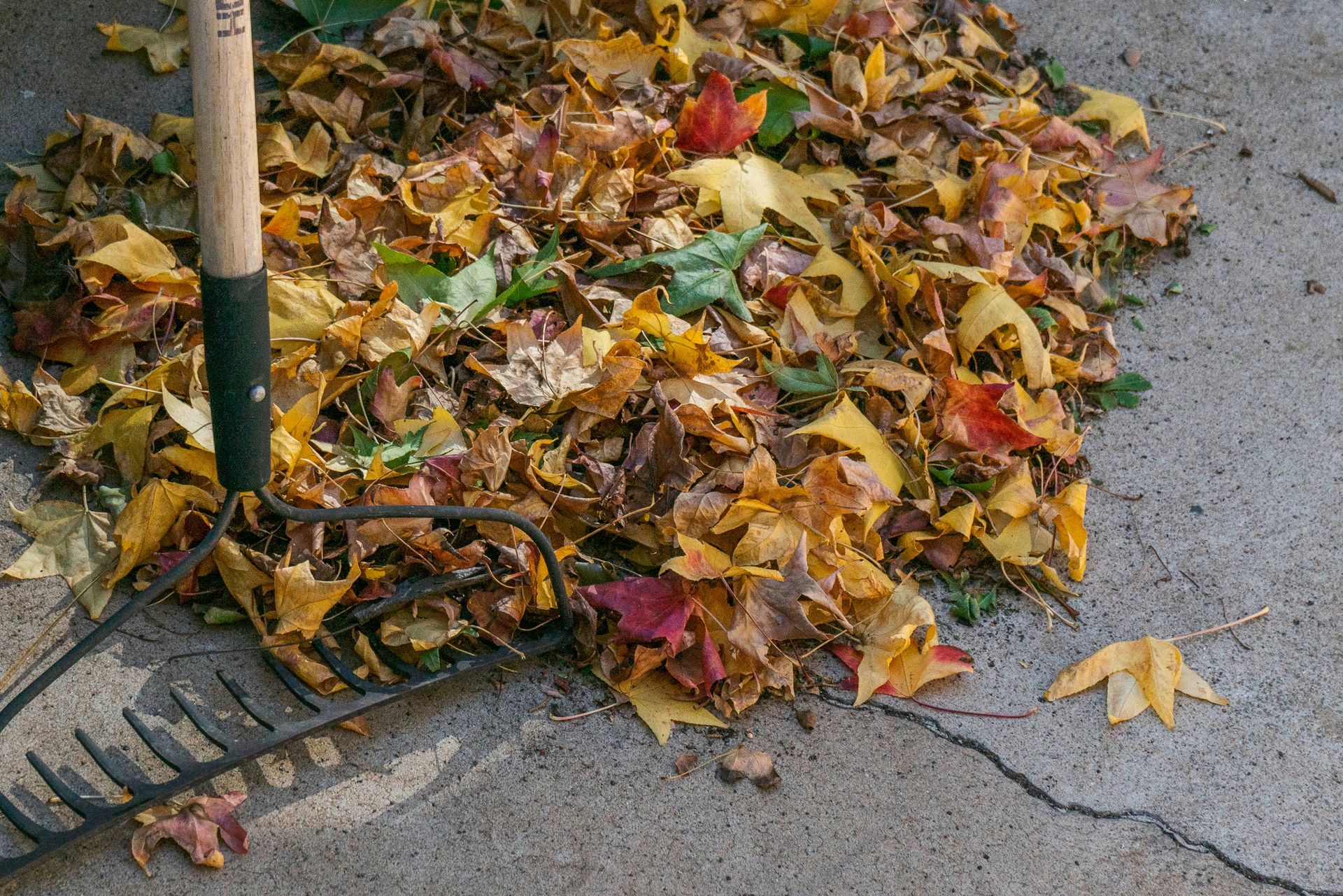 a pile of leaves and a rake on the ground